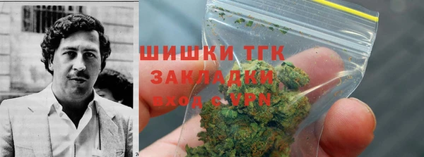 мет Инта
