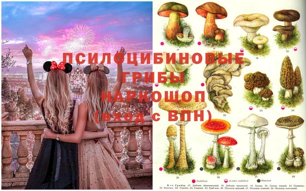 прущая мука Каменногорск