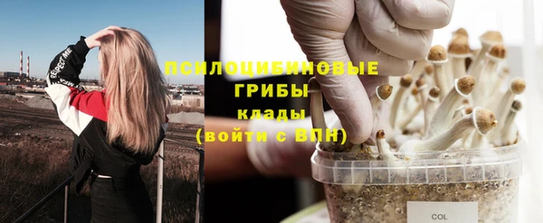 кокаин колумбия Каменка